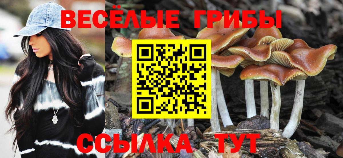 Реж  даркнет сайт  Псилоцибиновые грибы Cubensis  Вход с VPN  Галлюциногенные грибы прущие грибы 